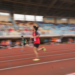 PA230596.JPG