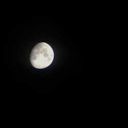 IMG_1749.JPG_21291.jpg