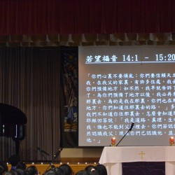 TCC_6174.jpg_15087.jpg