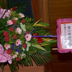 DSC_3782.jpg_17104.jpg