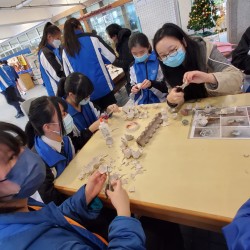 回收花卉4.JPG