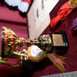 DSC_3791.jpg_17112.jpg