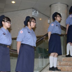 DSC_3775.jpg_17100.jpg