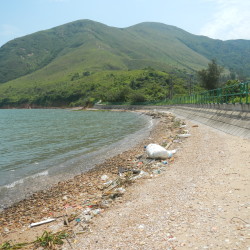 DSCN4506.JPG
