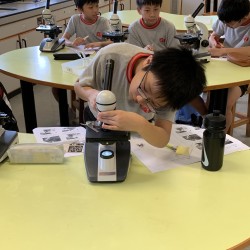 20190628_012543296_iOS.jpg