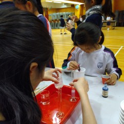 IMG_20190508_132723.jpg