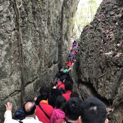格式工廠IMG_8743.jpg_26176.jpg