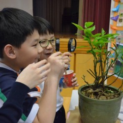 004.jpg_15660.jpg