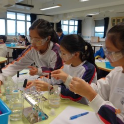 格式工廠DSC02870.jpg_19643.jpg