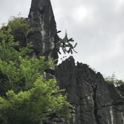 格式工廠IMG_8741.jpg_26177.jpg