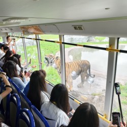 IMG_20250720_091525.jpg