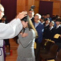 TCC_8690.jpg_20790.jpg