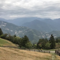 IMG_2040.jpg_21727.jpg