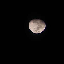 20170407_210445.jpg_21299.jpg