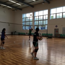 IMG_5612.jpg