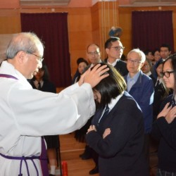 TCC_8684.jpg_20784.jpg
