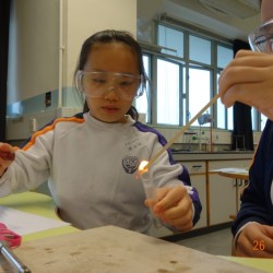 格式工廠DSC02895.jpg_19648.jpg
