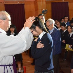 TCC_8673.jpg_20773.jpg