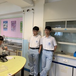 20190628_030859276_iOS.jpg