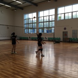 IMG_5602.jpg