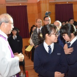 TCC_8676.jpg_20776.jpg