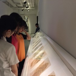 格式工廠20171117_055514346_iOS.jpg_25084.jpg