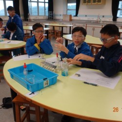 格式工廠DSC02869.jpg_19642.jpg