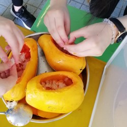 IMG_20210711_093415.jpg
