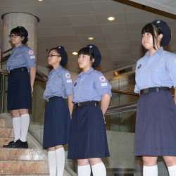 DSC_3776.jpg_17101.jpg