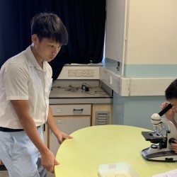 20190628_013742903_iOS.jpg