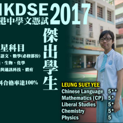 2017DSEbanner01.jpg_22740.jpg