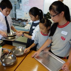 格式工廠DSC03095.jpg_19634.jpg