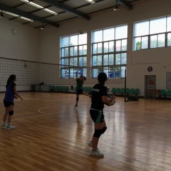 IMG_5613.jpg