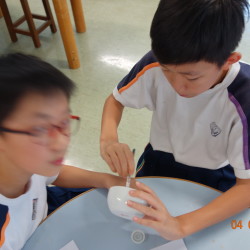 DSC04446.JPG